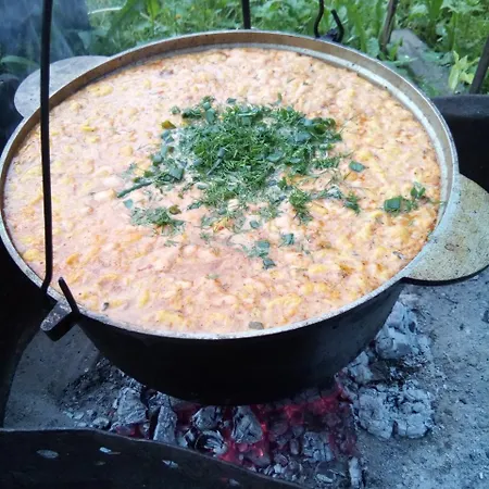 Saduba Kozatska Detsa * Zhdeniievo
