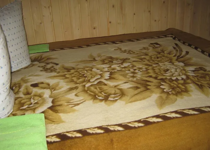 Saduba Kozatska Detsa Casa de Férias Zhdeniievo