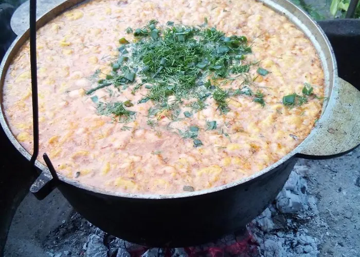 Saduba Kozatska Detsa * Zhdeniievo
