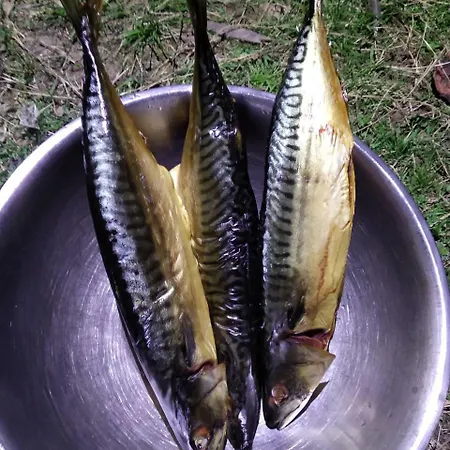 別荘 Saduba Kozatska Detsa